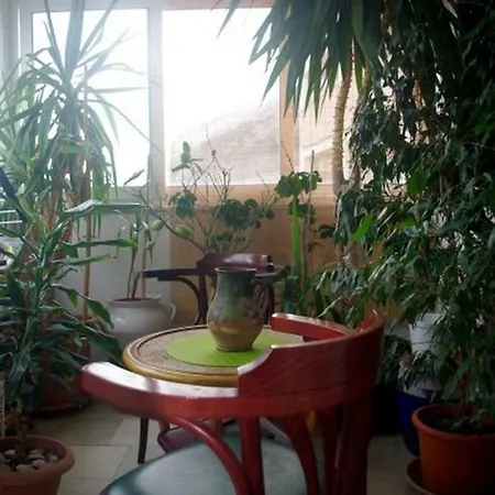 Lucija Pag 公寓